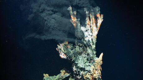 «Historisk oppgjør» for livet på havbunnen, europeiske mineraler og norsk næringspolitikk