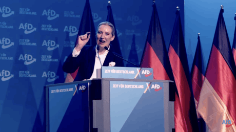 AfD størst på landsdekkende tysk partimåling